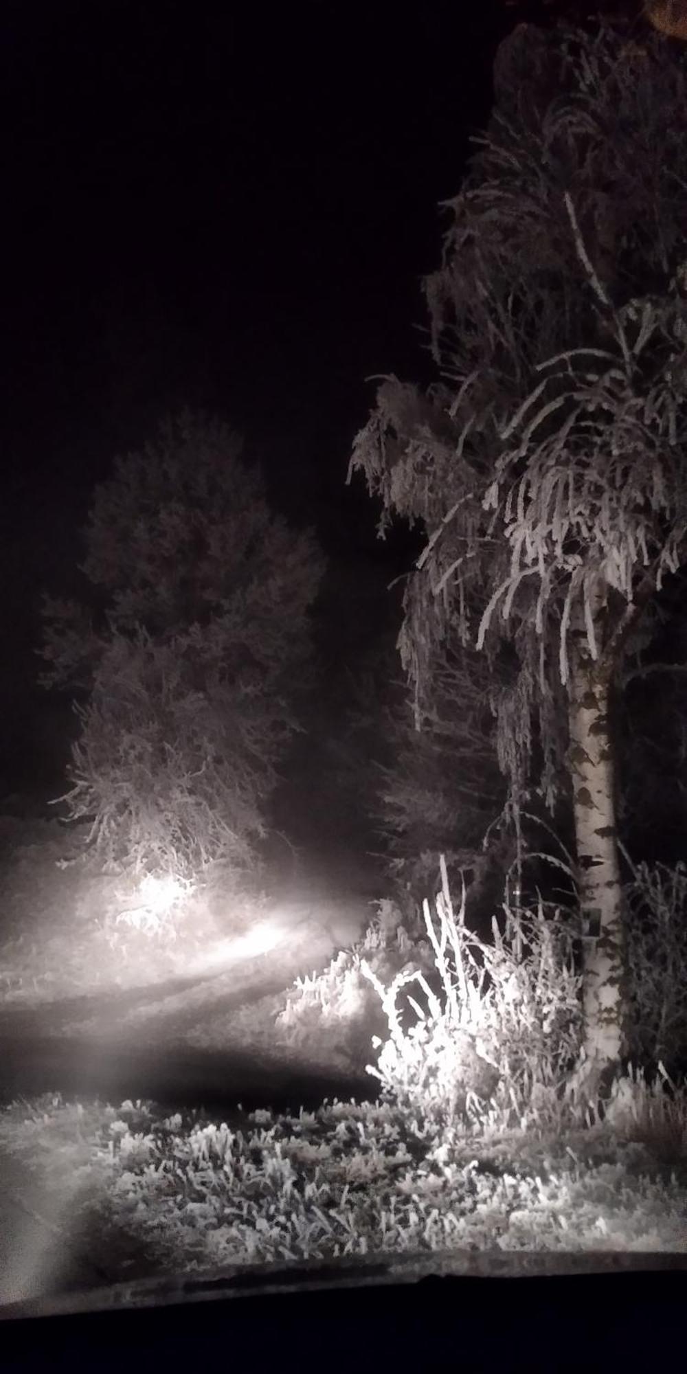 Chata Hvězdička Litoměřice Exteriér fotografie